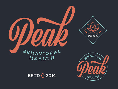 Peak branding identity logo mark therapy vector