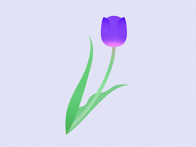 Tulip design flower graphic graphicdesign illustration plants print tulip