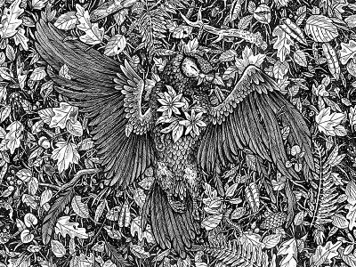 Forest Floor apparel black and white clothing illustration ink on paper medicine owl