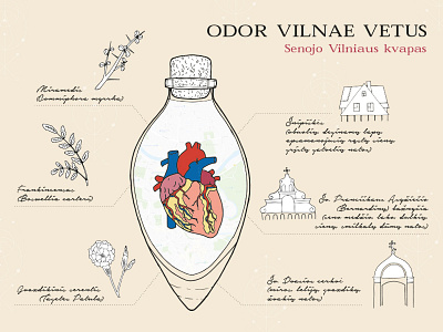 Scent of Old Vilnius illustration adobe illustrator alchemy anatomy bottle drawing handmade heart icon illustration map scent