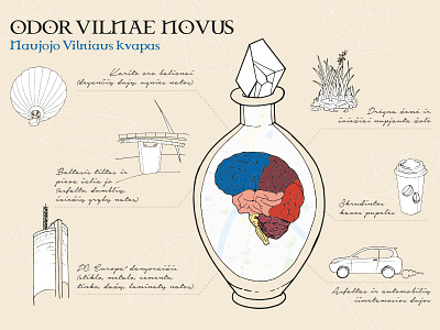 Scent of New Vilnius / Illustration adobe illustrator alchemy anatomy bottle brain drawing handmade icon illustration map scent