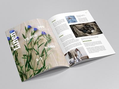 Pants From Plants adobe indesign book editorial design fabrics fashion flora graphic design lithuania magazine plants print design sustainable textile
