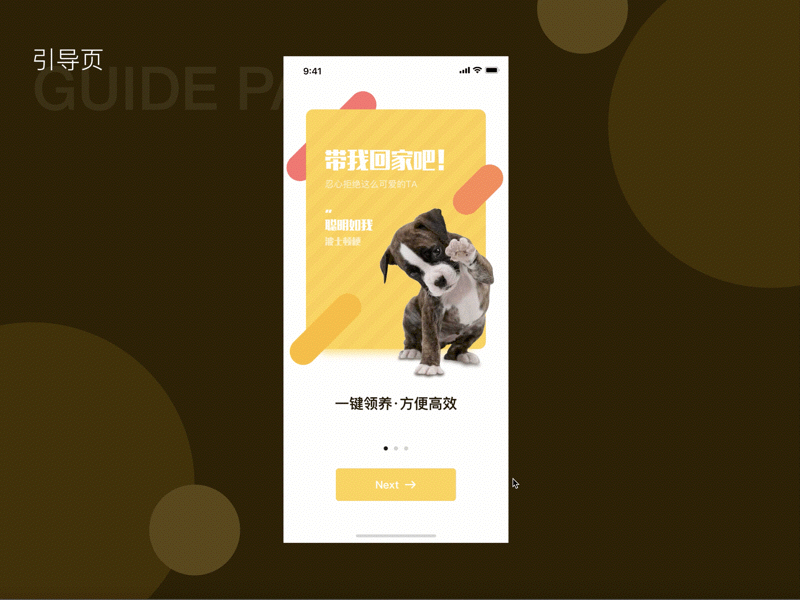 Pet app boot page