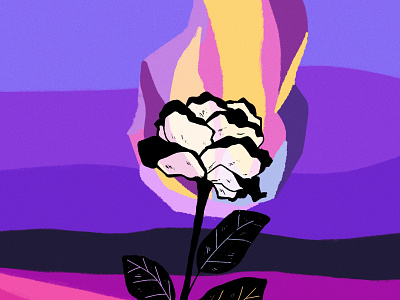 Burning Passion drawing graphic design illustration purple rose