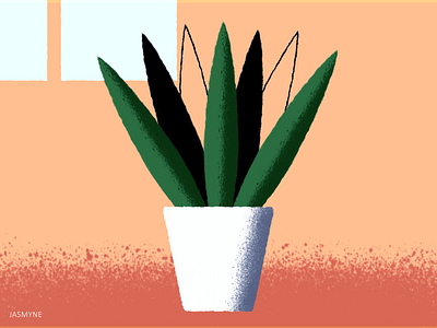 House Plant design drawing graphic design illustration