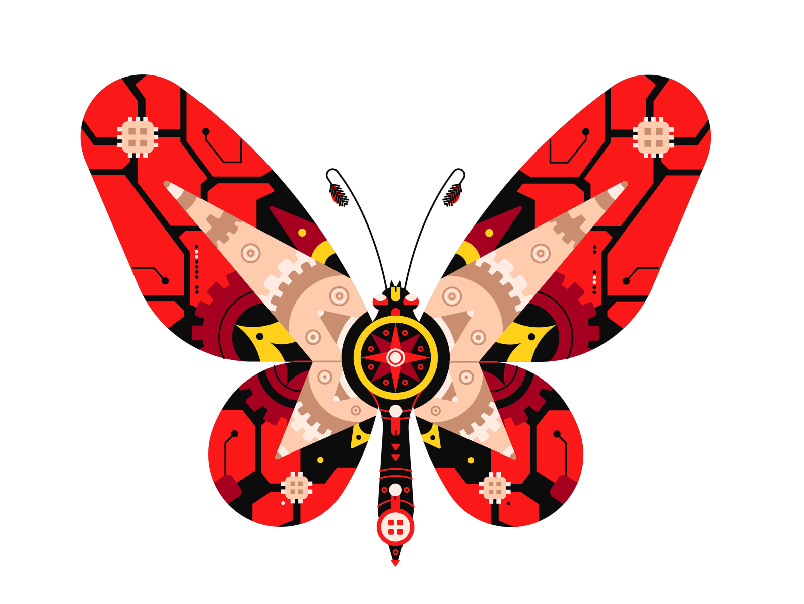 Berkley Illustration - Butterfly at