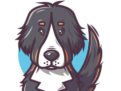 Bernese Mountain Dog character dog illustration vector