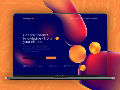 Bmore RAW | Landing Page Ui / Ux Design