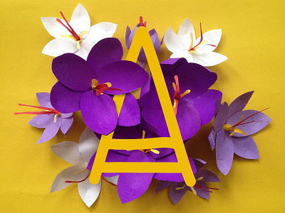 36daysoftype 36daysoftype a açafrão paper flower typography