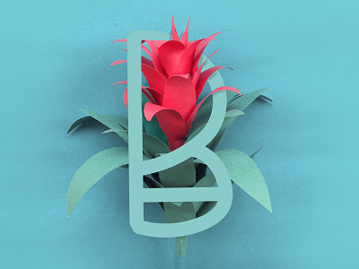 36daysoftype 36daysoftype b bromélia paper flower typography