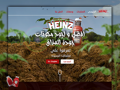 Heinz Website design food heinz ui webdesign