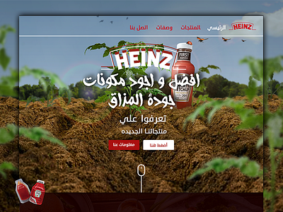 Heinz Website