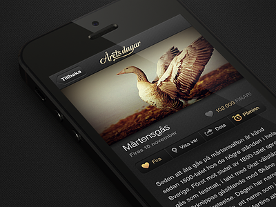 Traditions – Info View app celebrate gold ui ux