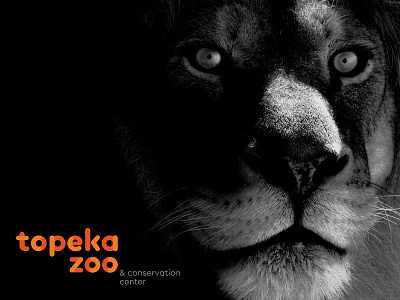 Topeka Zoo Brand Applications application brand color dynamic expansive icon identity logo rebrand website wordmark zoo