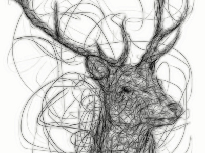 Stag animal antlers art buck continual line deer digital drawing illustration stag