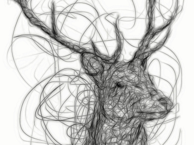 Stag