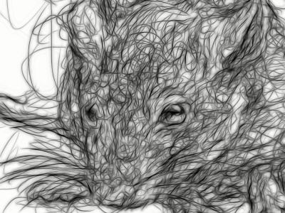 Rat animal continual line digital drawing illustraion rat rodent