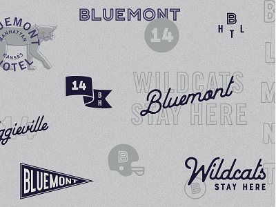 Bluemont Hotel Brand Identity