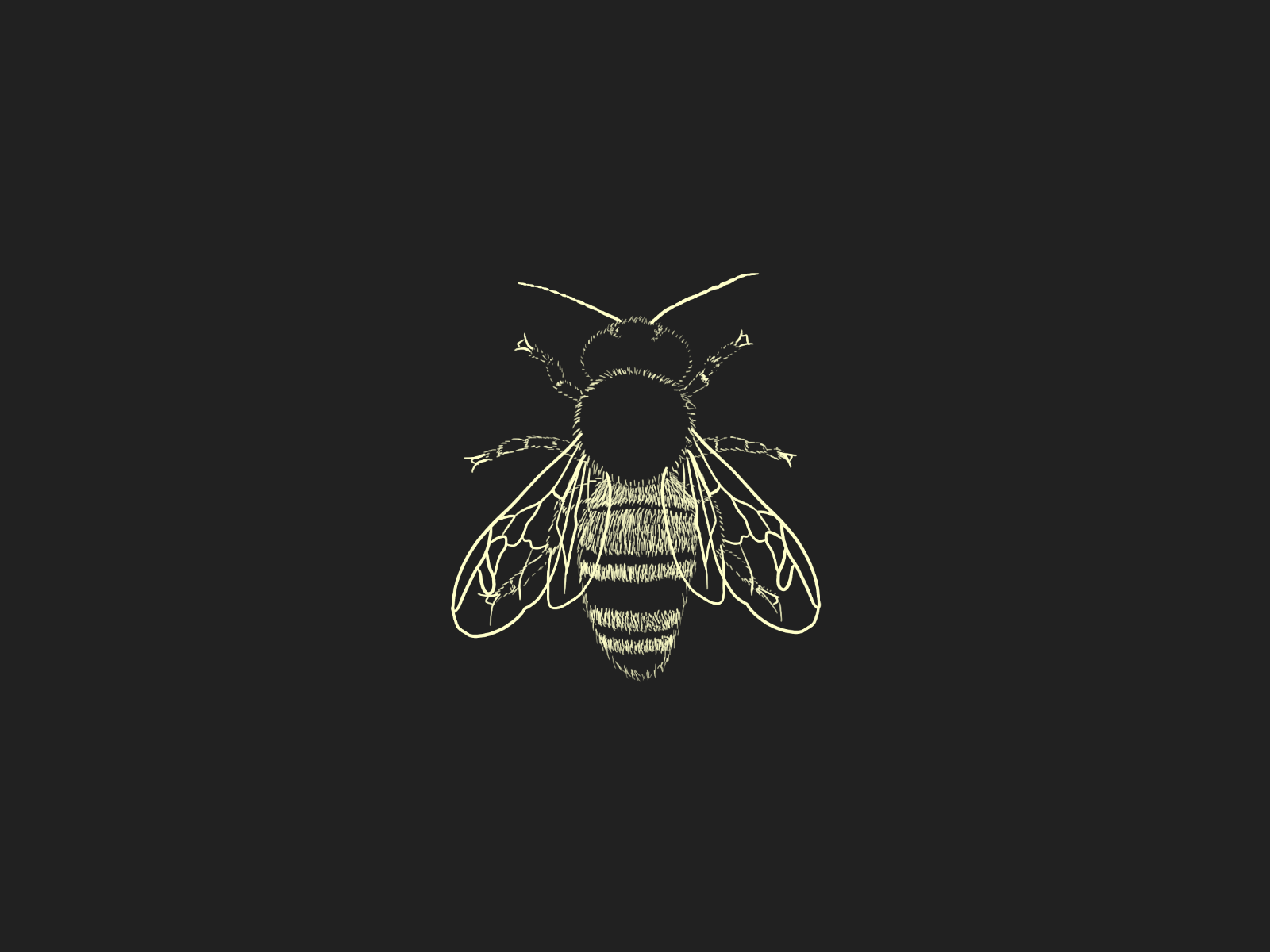 Bee's Knees bee black bumble bumblebee digital doodle drawing fuzzy gif honey honey bee illustration knees loop procreate quick save the bees wings yellow