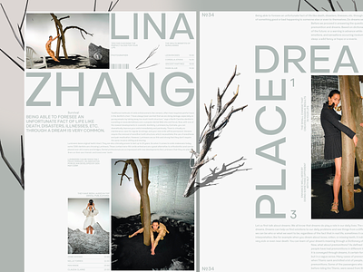 Lina book design fashion interface minimal news photo slide typography ui web