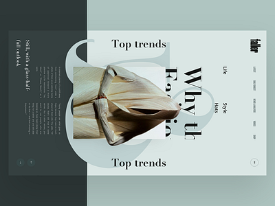 Faller Top Trends book design fashion interface news photo slide usa web