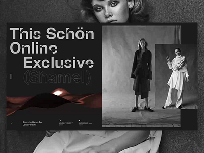 Shamel 3d animation book design fashion interface minimal news photo slide typography ui video web
