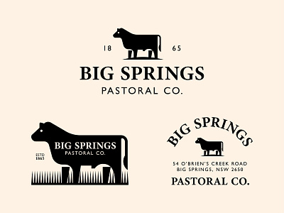 Big Springs Pastoral Co. angus animal badge branding bull cow farm flat geometric logo ranch steer tail typography vector