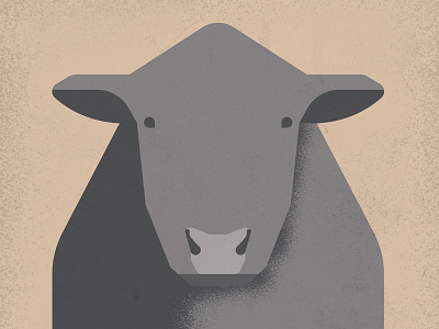 Bull Illustration angus beef bull cattle cow