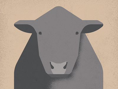 Bull Illustration