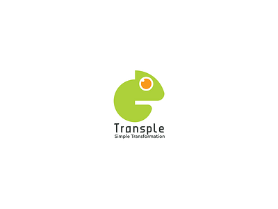 Transple - Logo branding design illustration logo