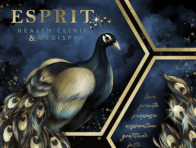 Gilded Peacock Mural for Esprit graphic design illustration mural