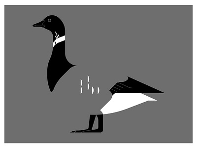 Brent Goose 2d adobe bird goose illustrator minimal northsea vector