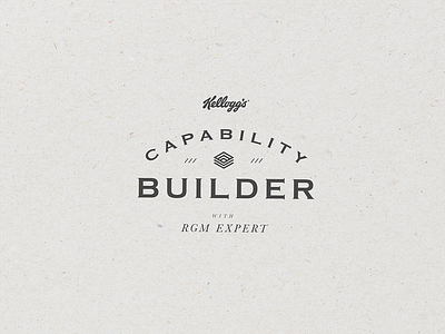 Capability Builder Branding branding branding design branding designer design graphic design illustrator style guide texture typography