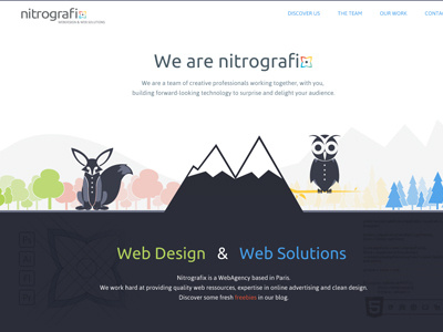 Nitrografix website redesign