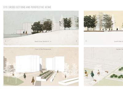 Site Cross Sections and Perspective Views 2.5d 3d illustration landscape landscape design renderings