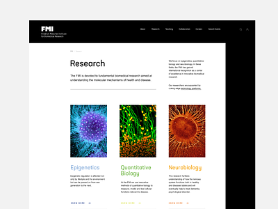 FMI - Research design education europe fmi interface interface design layout research student study ui uiux visualdesign web webdesign website