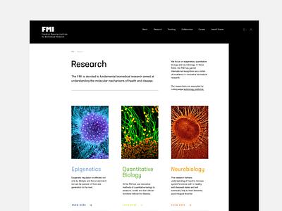 FMI - Research