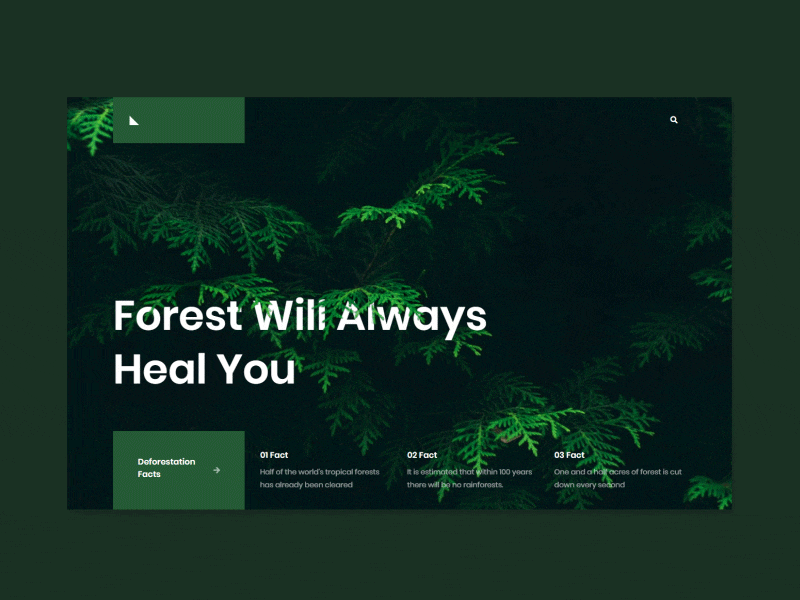 Forest Reveal animation css dark forest gif green landing reveal thor ui ui