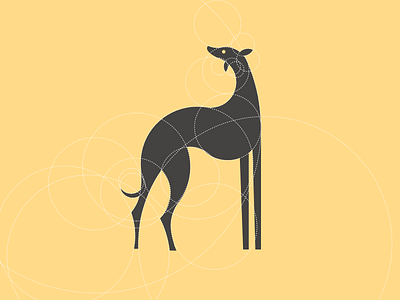 A greyhound