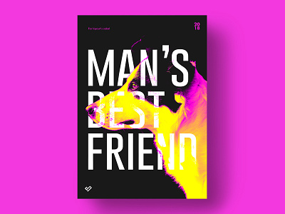 Man's best friend - poster design bestfriend collie composition design dog friend layout man pink poster