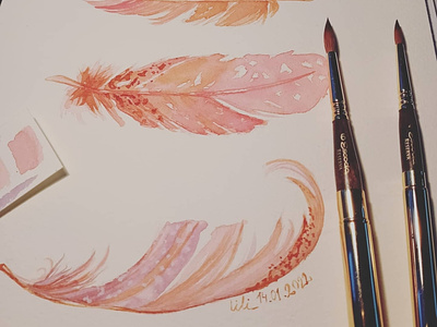 Watercolor Feathers aquarell feathers for children illustration paintings pink watercolor