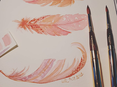 Watercolor Feathers