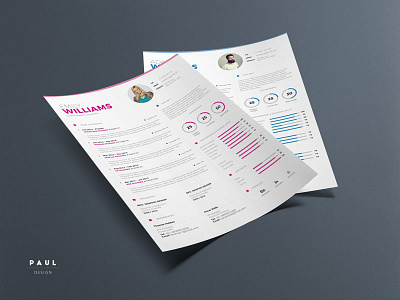 Clean Resume Vol. 5