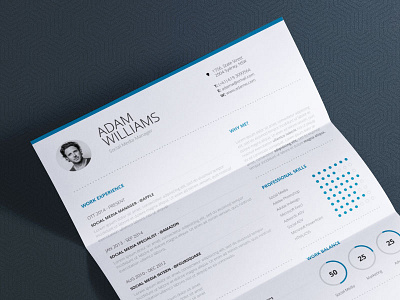 Clean Resume Vol. 7 - Word and Indesign Cv Template