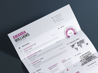 Infographic Cv Designs Themes Templates And Downloadable Graphic Elements On Dribbble