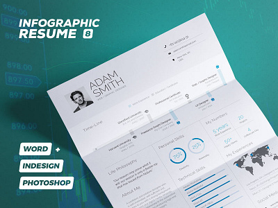 Infographic Resume/Cv Volume 8 curriculum vitae cv infographic resume inspiration resume trendy visual cv