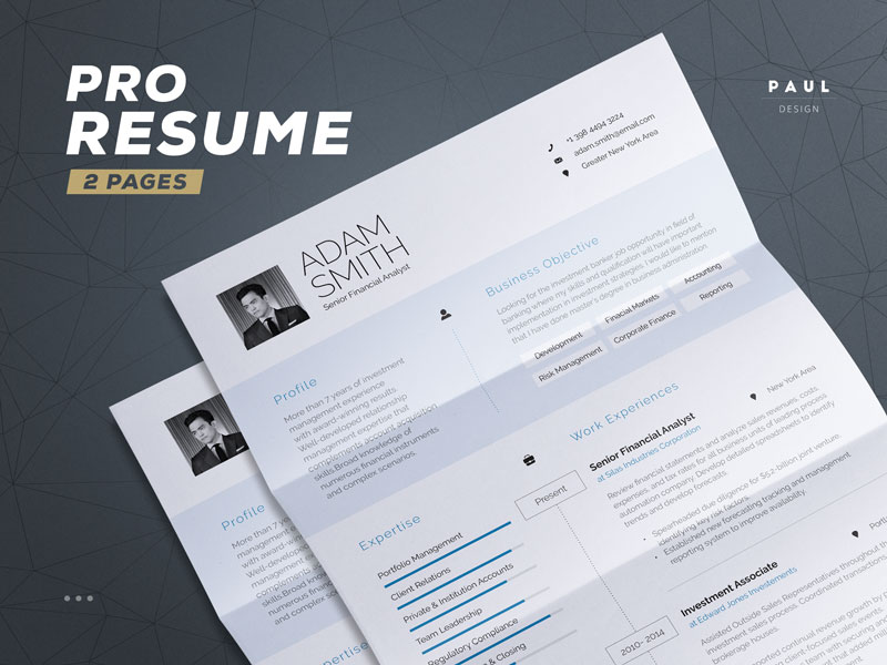 Resume for Pros by Paul on Dribbble