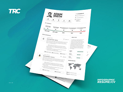 Infographic Resume/Cv Volume 9