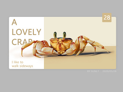 Hand painted crab animal crab format illustration logo ui webdesign