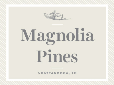 Magnolia Pines branding logo magnolia